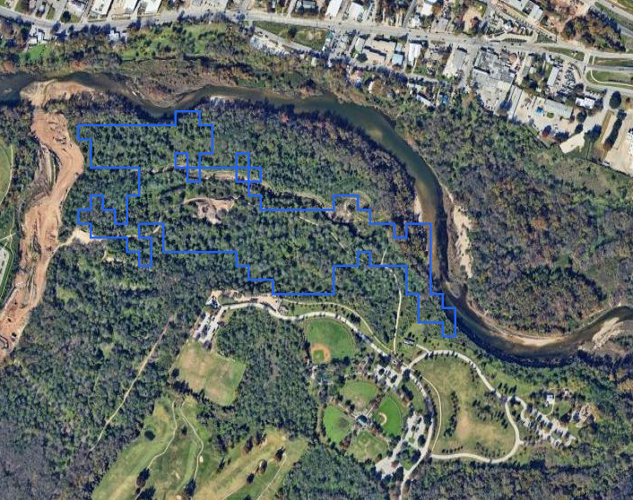 What is clearly a forest is misclassified as a field